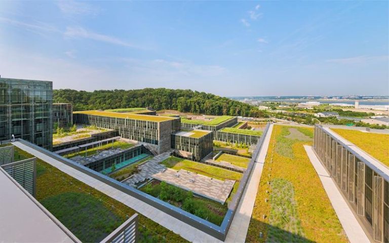 Image showcasing Elevating Sustainability: Exploring Green Roof Systems | Userteamnames
