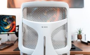 Preventing Back Pain with the Sihoo Doro S100 Mesh Office Chair What You Need to Know