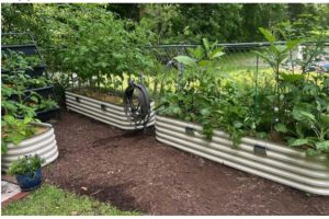 Raised Garden
