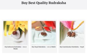Original Rudraksha