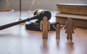 Legal Issues
