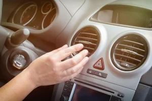 Avoid Car Interior