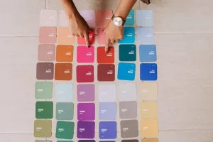 Colour Palette