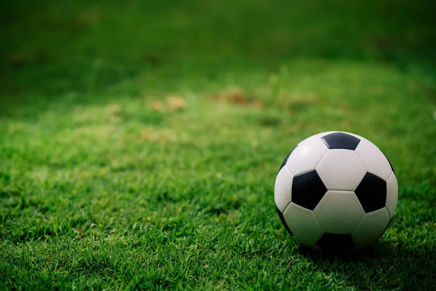 Loved Sports