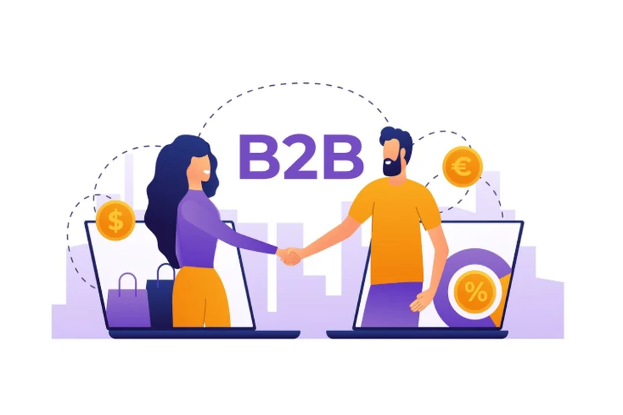 Ecommerce Mentor Program