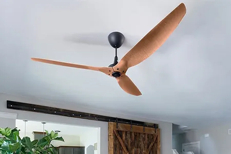 Ceiling Fans