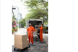 Moving Services