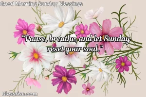 Sunday Blessings