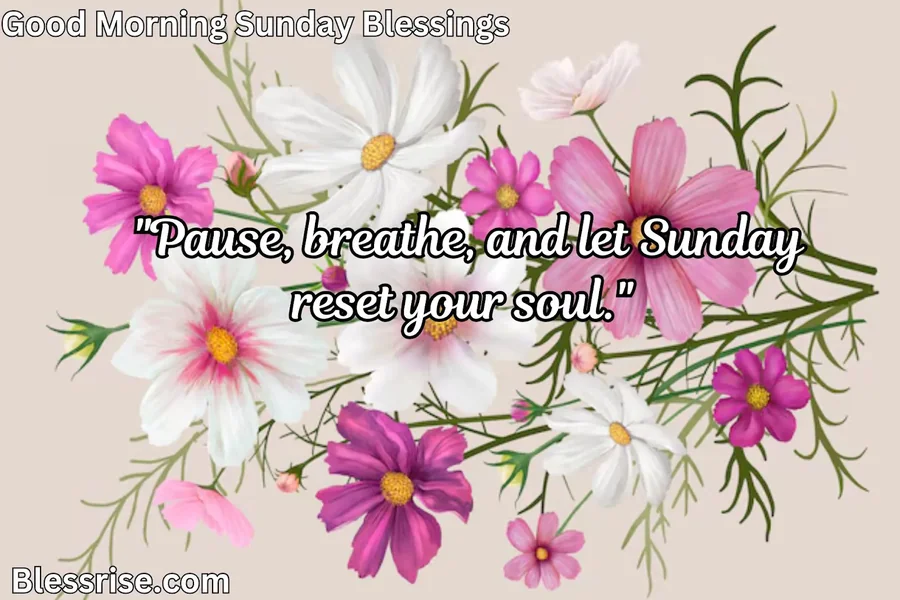 Sunday Blessings