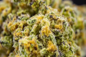 THCA