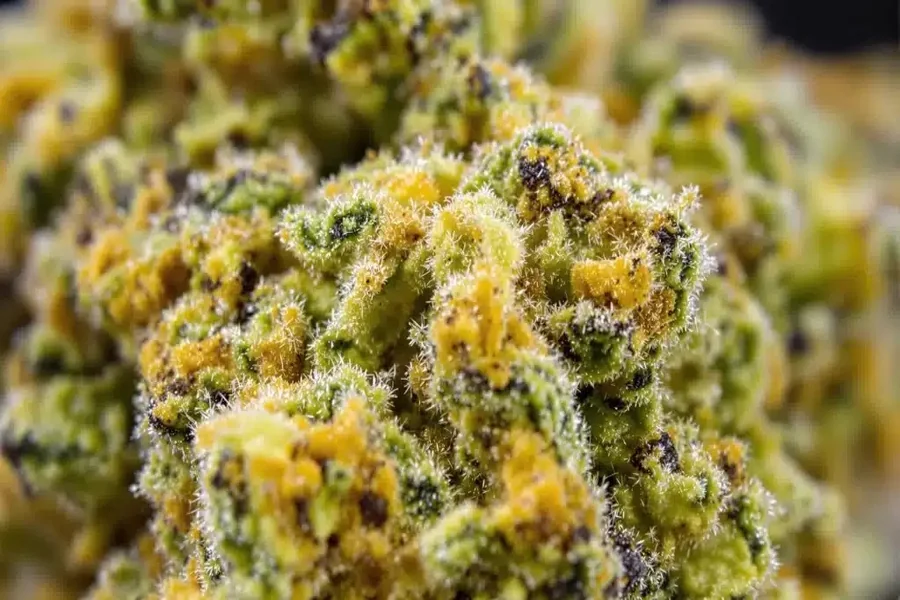 THCA