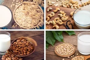 How Choosing the Best Milk Products Will Provide a Healthy Body and Mind