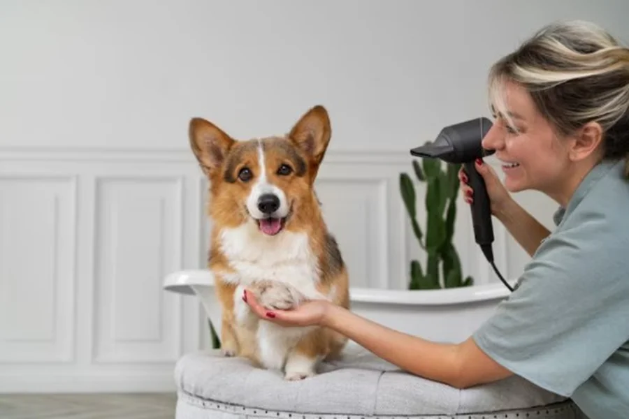 Pet Grooming