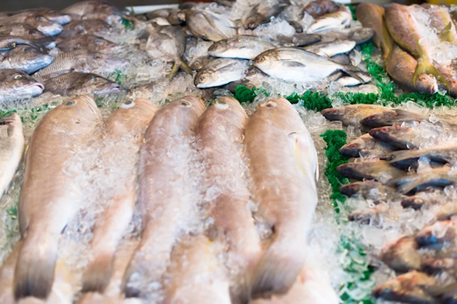 Quality Frozen Seafood