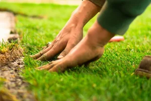 Environmental Services