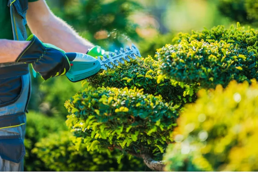 Sustainability-Oriented Support