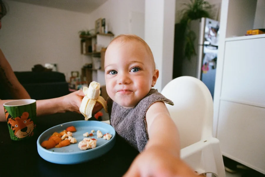 Exploring the Role of Various Foods in a Toddler’s Diet
