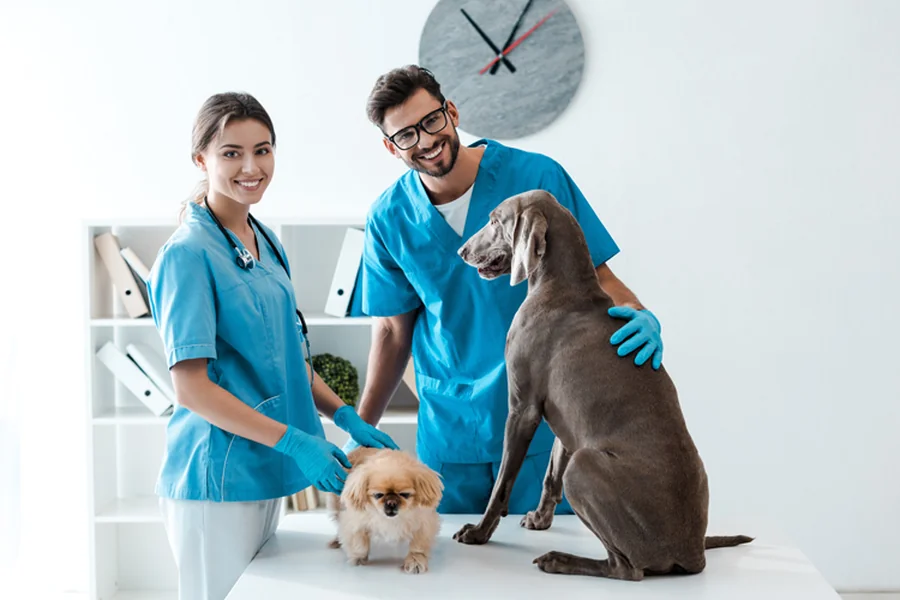 Animal Welfare