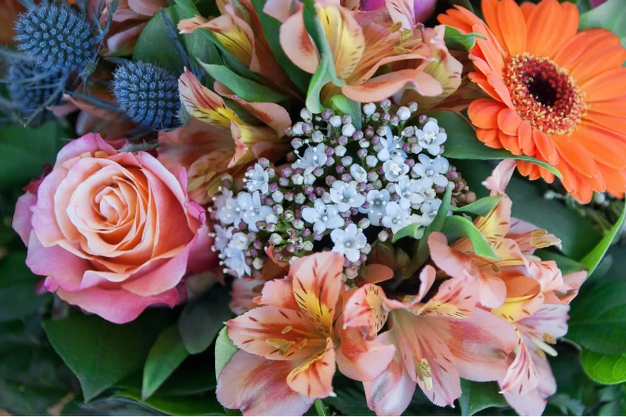 Tips to Maintain the Freshness and Vibrancy of Flower Bouquets after Purchase in Singapore