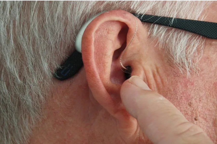Understanding Central Auditory