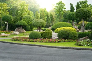 Are Landscape Architects Worth It Exploring the Value of Professional Landscape Design