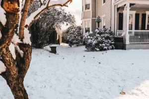 Capital Winter