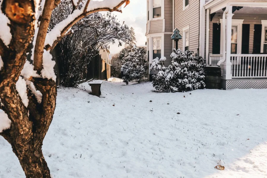 Capital Winter