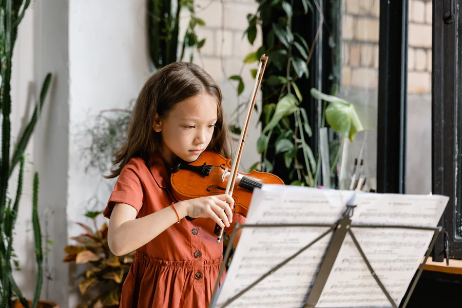 Violin Lessons for Beginners to Advanced Level