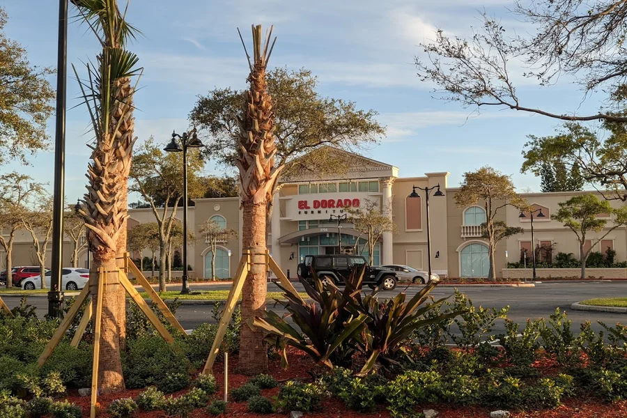 Commercial Property