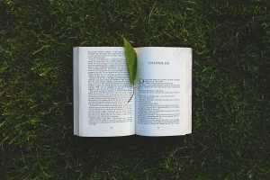 Novel