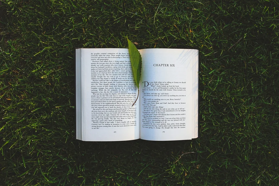 Novel