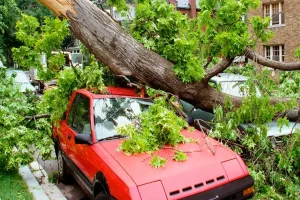 Fall Storm